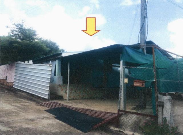 ป่าสัก วังชิ้น แพร่